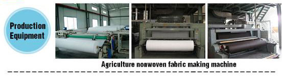 product-rayson nonwoven-3UV PP Spunbond Nonwoven Fabric Agricultural Cover Anti freeze Extra Size Fo-1