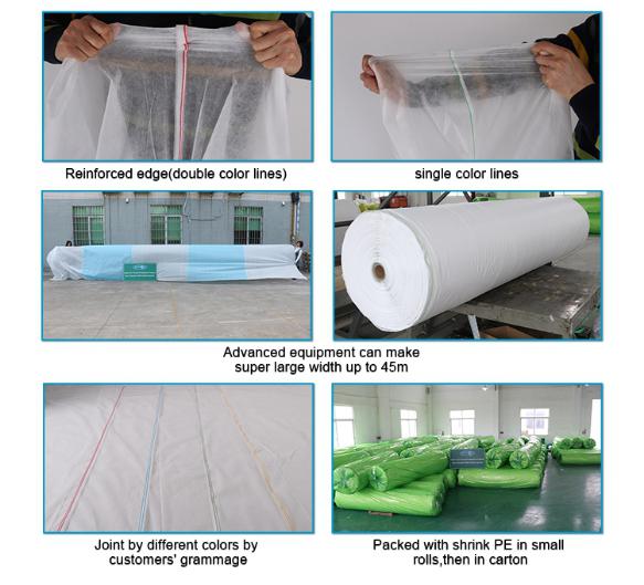 product-rayson nonwoven-Agriculture 1-4 Anti UV PP Non Woven Fabric Weed Mat Hydrophilic Weed Block 