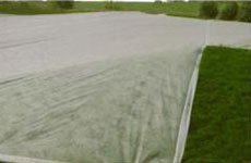 product-rayson nonwoven-Dark Weed Barrier Fabric Agricultural black nonwoven fabric Ground Cover Ess