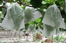 product-100 Polypropylene Non Woven Fabric Weed Control-rayson nonwoven-img