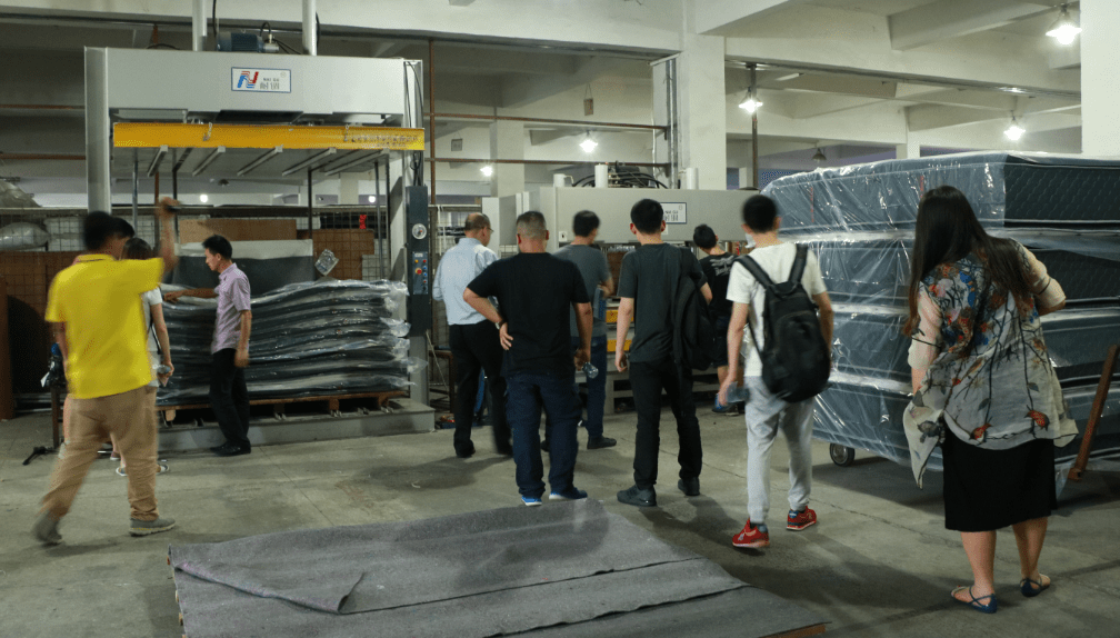 rayson nonwoven,ruixin,enviro-Experts of China Academy of Social Science Come to Rayson for Research-4