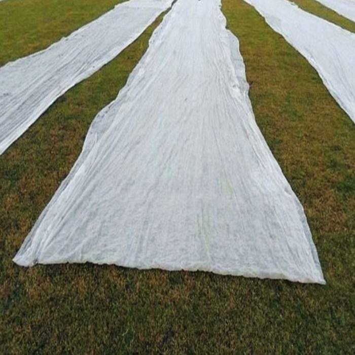 Agriculture Nonwoven Fabric Made Frost Protection Splicing Plant Cover